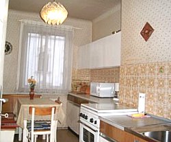 kitchen in the private Vienna Apartment