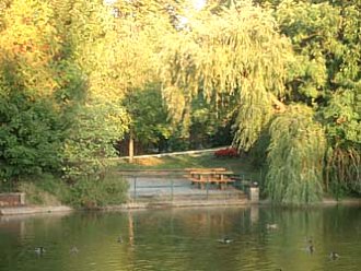 Ausblick auf Wiener See im Park 