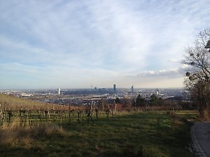 ein traumhafter Blick auf Wien