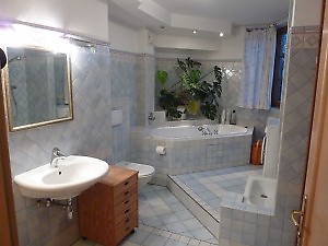 Bad 1 mit Badewanne, Dusche, WC und Waschmaschine