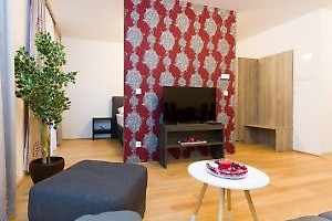 Schlafwohnzimmer mit TV und rot gemusterter Tapete in Wien