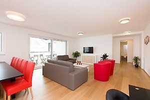 Wohnzimmer mit Sofas und 2 roten Ledersessel in Fewo Wien