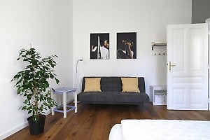 Sofa bed with 2 pillows and plant in accommodation Vienna