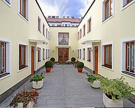 Kübelpflanzen im Hinterhof Wien